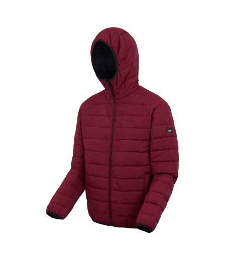 Veste Helfa Homme Pourpre Foncé Regatta