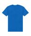 Park Fields Unisex Adult Sixty One Loose Fit T-Shirt (Royal Blue) - UTPN531