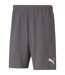 Short De Jogging Teamrise Homme Gris Puma-1