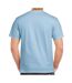 T-shirt Adulte Bleu Clair Gildan-2