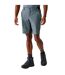 Short De Marche Eldes Homme Gris Orageux Gris Clair Regatta-1