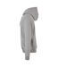 Sweat À Capuche Homme Gris Urban Classics-4