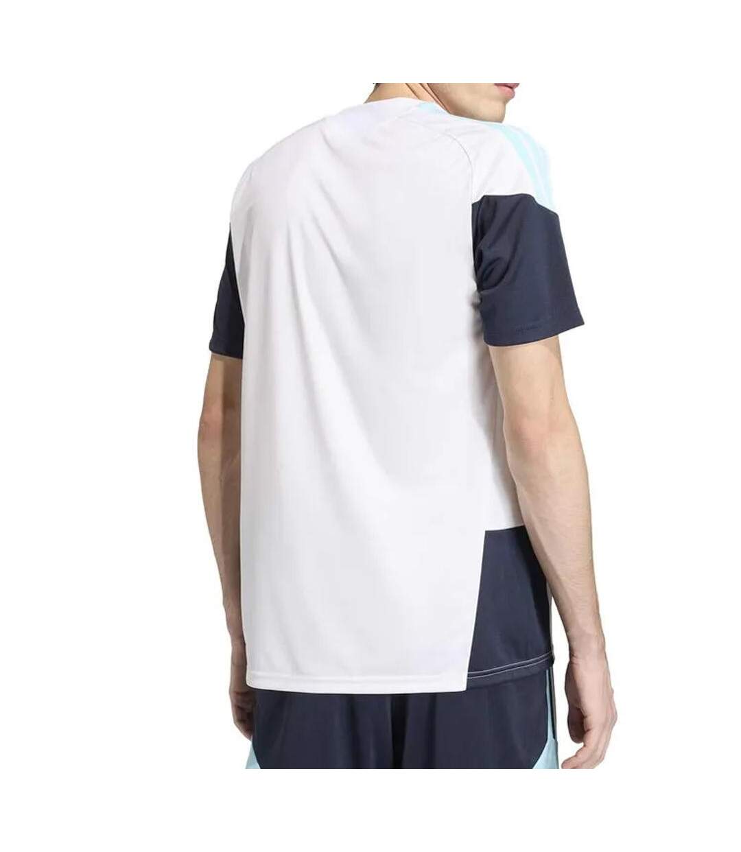 Argentine maillot training blanc homme adidas 2026-2