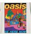 Unisex adult be here now oasis t-shirt vintage white Amplified-2