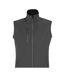 Veste Sans Manches Falcon Femme Gris Charbon Uni SOLS-2