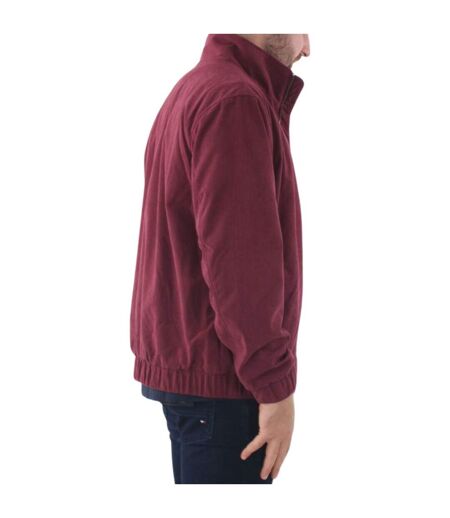 Veste Homme Bordeaux Tommy Hilfiger