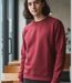 CHALLENGER E213U001 — Sweat col rond bordeaux : confort et haute résistance-2