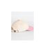 Casquette De Baseball Motif/style Rétro Adulte Blanc Cassé Rose Beechfield-4