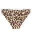 Womens/ladies aceana bikini bottoms leopard Regatta-2