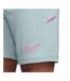 Mens Academy Shorts Grey Pink Nike-4