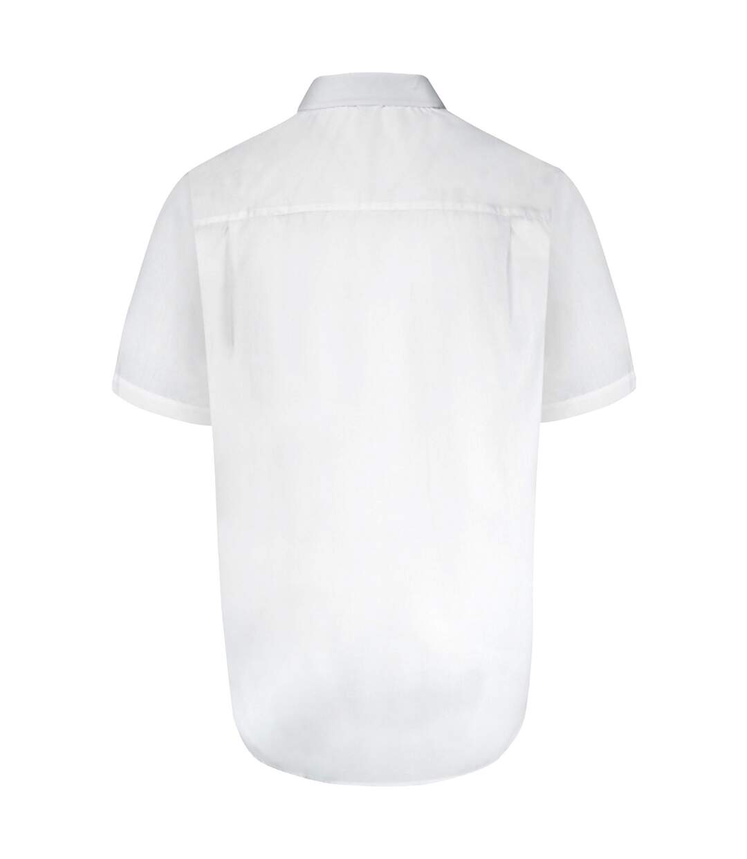 Duke Mens Delmar Kingsize D555 Short Sleeve Classic Regular Shirt (White) - UTDC204-3
