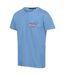 Mens cline vii graphic print t-shirt lake blue Regatta