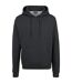 Sweat À Capuche Basic Homme Charbon Urban Classics-1