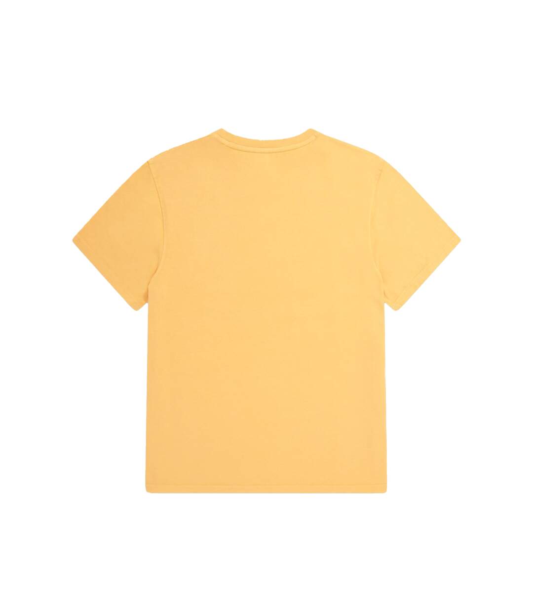 Animal Mens Jacob Printed Natural T-Shirt (Yellow)
