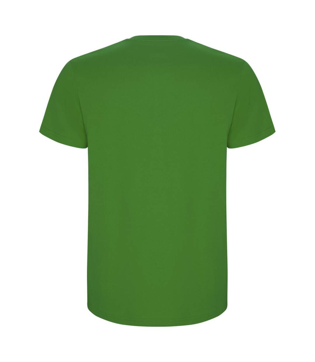 T-shirt stafford homme vert gazon Roly-2