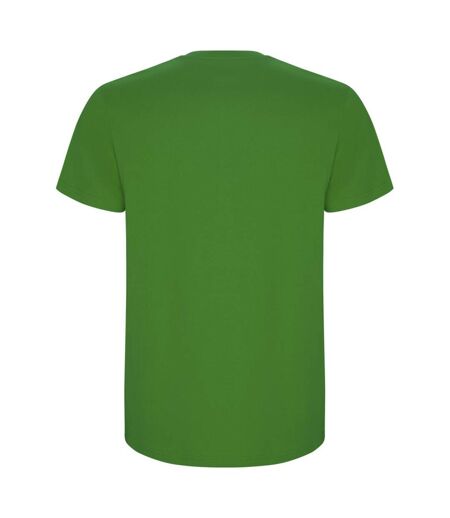 T-shirt stafford homme vert Roly