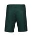 Short de sport vert homme le coq sportif tennis pro n°2-2