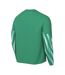 Maillot De Gardien De But Manches Longues Park Homme Vert Nike-2