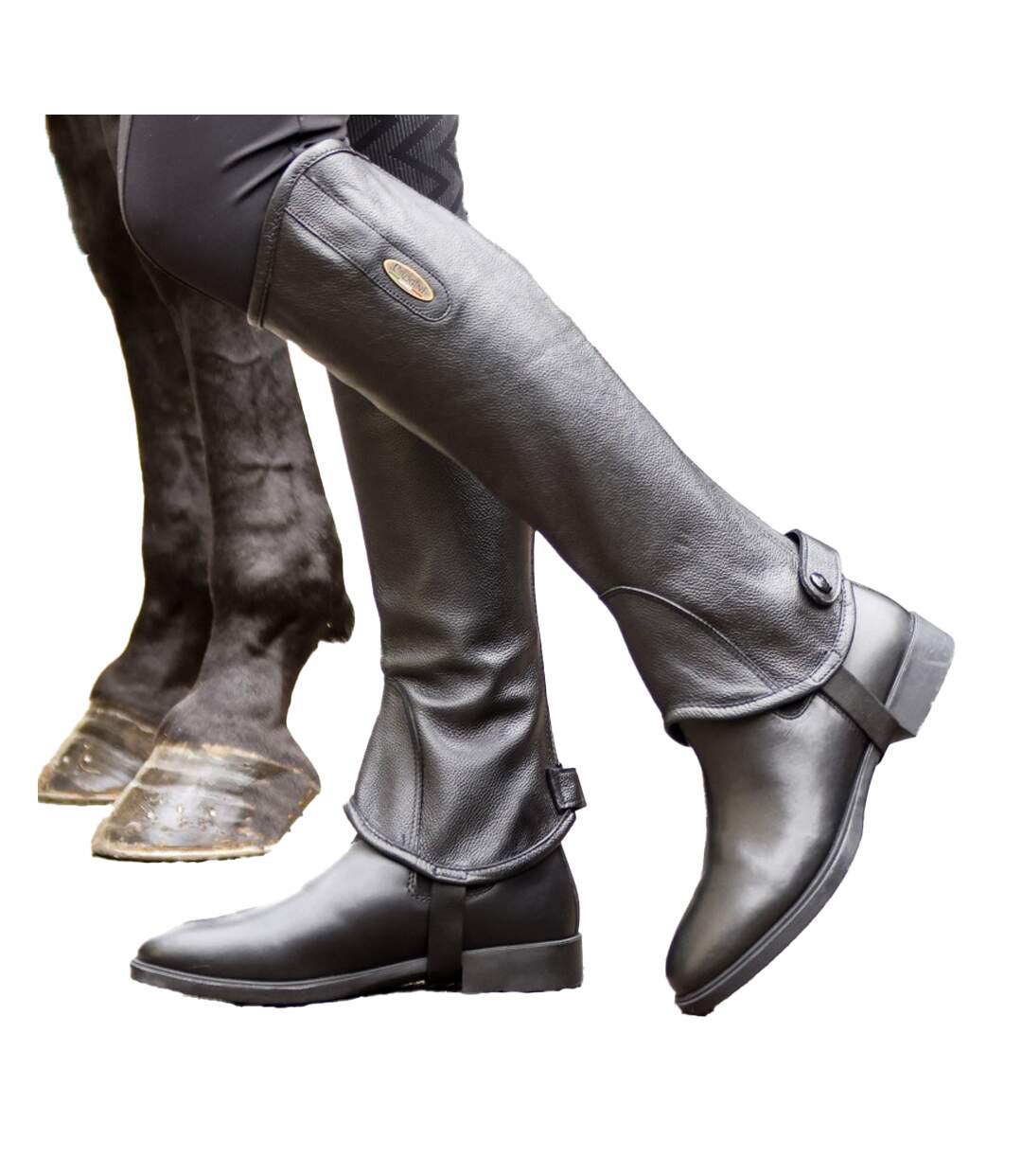 Bottines Jodhpur Boxwell Adulte Noir Brogini-4