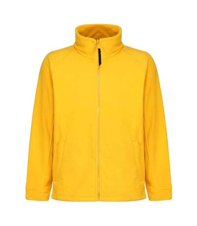 Veste polaire thor homme jaune Regatta Regatta