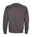 Unisex adult columbia sweatshirt charcoal marl SOLS-2
