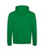 Sweat À Capuche Varsity Adulte Vert Kelly Blanc Awdis-2