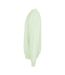 Sweat Columbia Adulte Vert Pâle SOLS-3