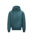 Mens Signature Heavyweight Hoodie Teal Awdis-1