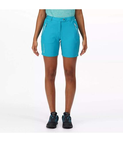 Regatta Womens/Ladies Mountain II Shorts (Enamel) - UTRG6846