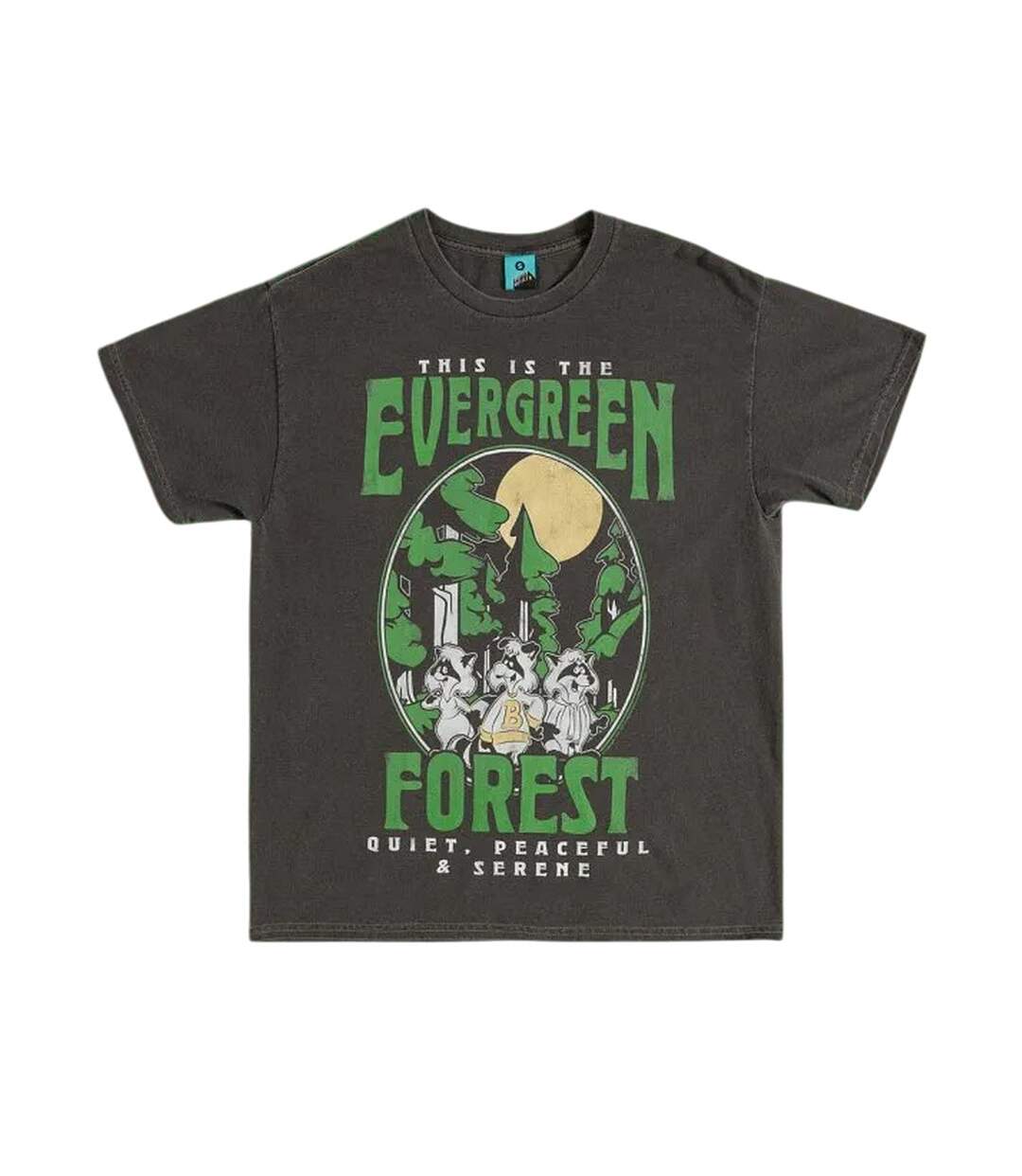 T-shirt This Is The Evergreen Forest Adulte Noir Charbon The Raccoons-1