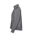 Veste Softshell Appalachian Femme Granite Stormtech-3