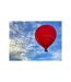 Vol en montgolfière pour 2 personnes au-dessus du château de Chenonceau - SMARTBOX - Coffret Cadeau Sport & Aventure