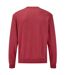Sweat Classic Adulte Rouge Fruit Of The Loom-2