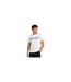 Mens Logo Jersey Crew Neck T-shirt White Aquascutum-1