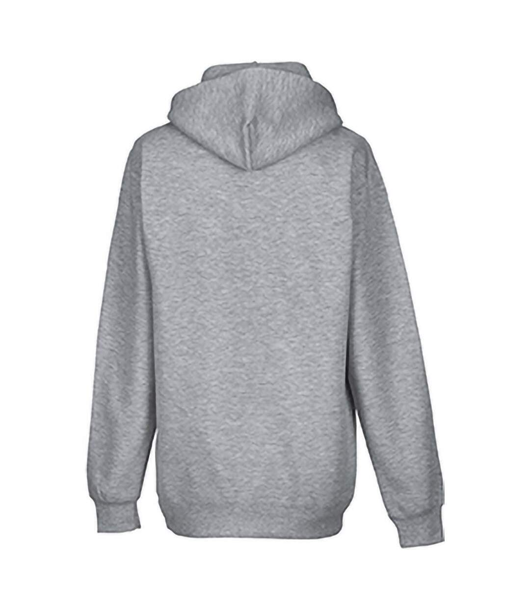 Sweatshirt À Capuche  Pour Homme Gris Clair Russell-2