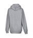 Sweatshirt À Capuche  Pour Homme Gris Clair Russell-2