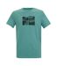 T-shirt Motif/style Collage De Photos Breezed Homme Turquoise Regatta-2