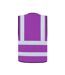 Gilet Haute Visibilité Hannover Adulte Violet Clair Korntex-2