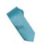 Cravate Taille Unique Turquoise Vif Premier-2