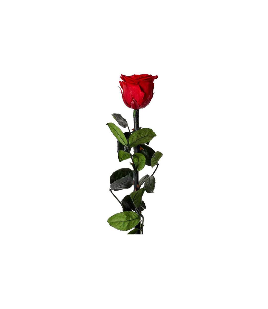 Fleur Artificielle Rose sur Tige 30cm Vert & Rouge-1