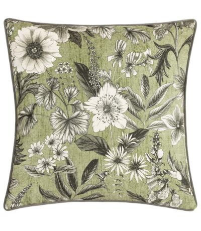 Harlington botany piped velvet floral cushion cover 50cm x 50cm moss Wylder