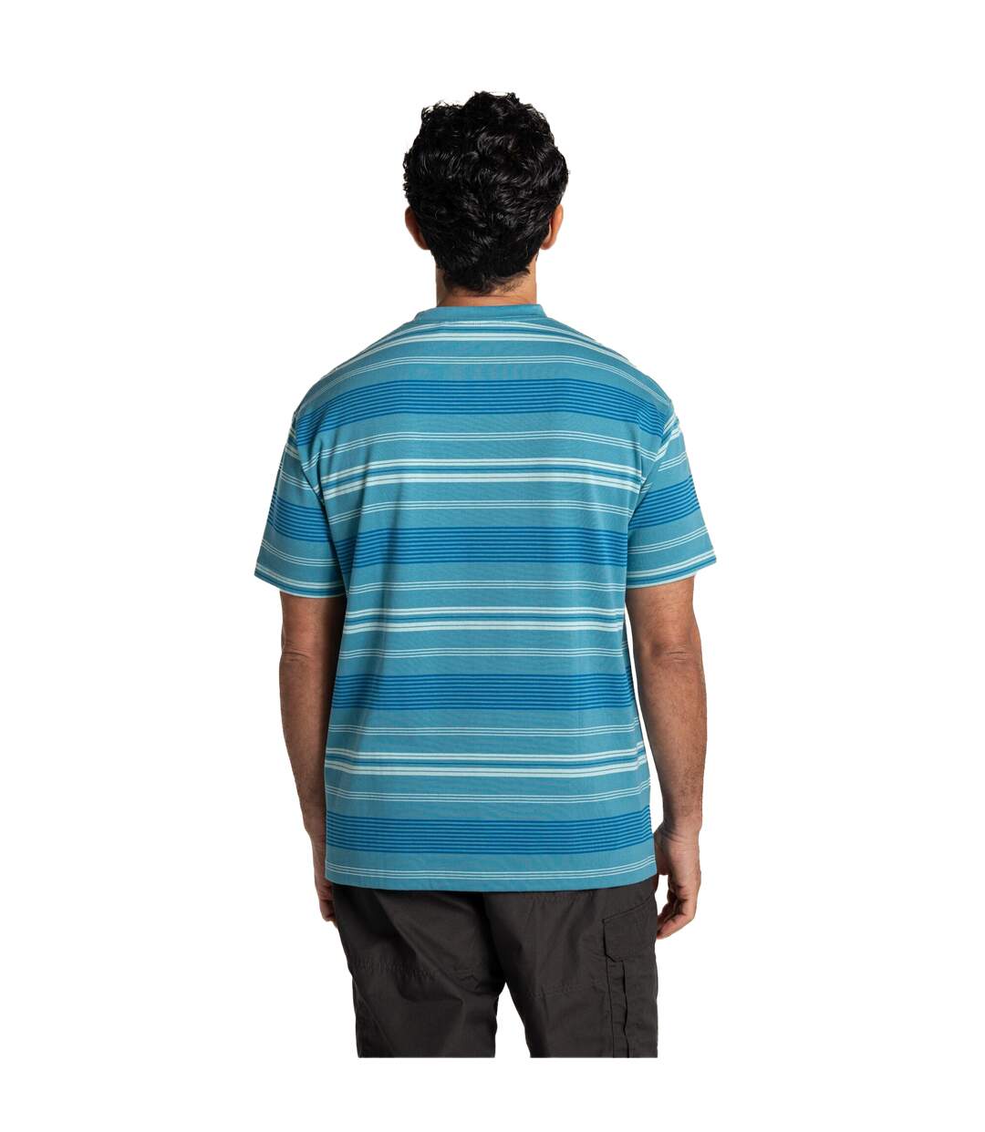T-shirt Manches Courtes Motif/style À Rayures Pointer Homme Bleu Clair À Rayures Craghoppers-3