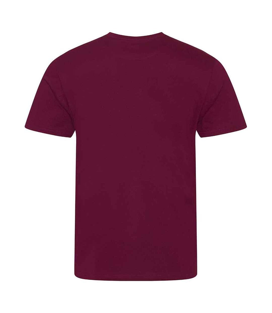 T-shirt cascade homme bordeaux Awdis-2