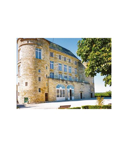 Séjour au Château de la Reine Margot avec visite, dîner et vin - SMARTBOX - Coffret Cadeau Séjour