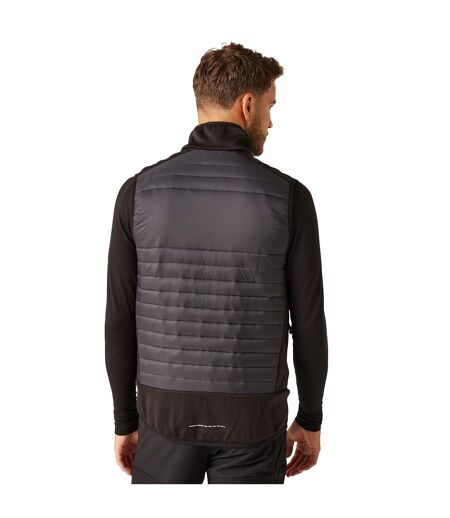 Veste Sans Manches E-volve Hybrid Homme Cendre Noir Regatta