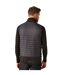 Veste Sans Manches E-volve Hybrid Homme Cendre Noir Regatta-3