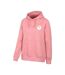 Womens/ladies Landscape Regular Hoodie Pale Pink Mountain Warehouse-3