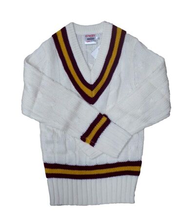 Carta Sport Mens Cricket Sweater (White/Navy/Sky Blue) - UTCS481