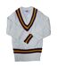 Carta Sport Mens Cricket Sweater (White/Navy/Sky Blue)