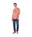 T-shirt palm canyon homme corail Maine Maine